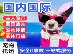 北海福成航空空运国际宠物托运 【国